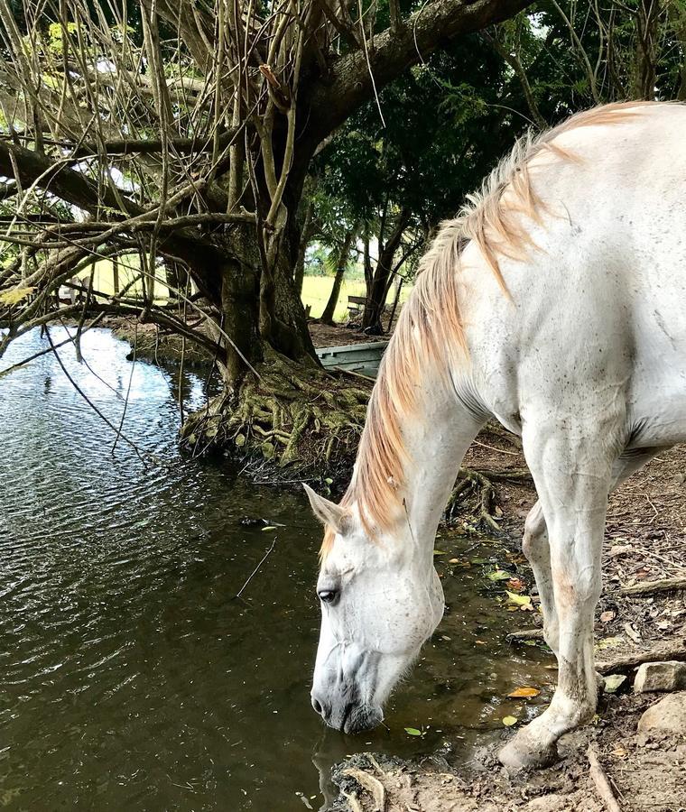 La Ferme Des Etangs Villa Riviere-Salee Buitenkant foto
